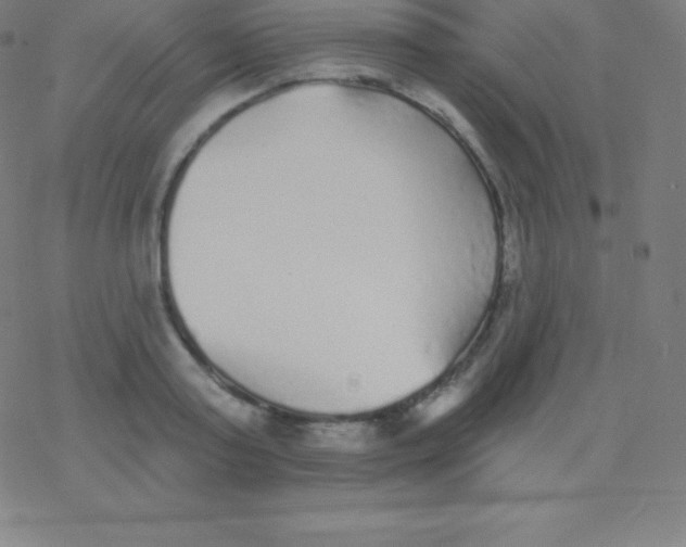 X0000077350795200611101612