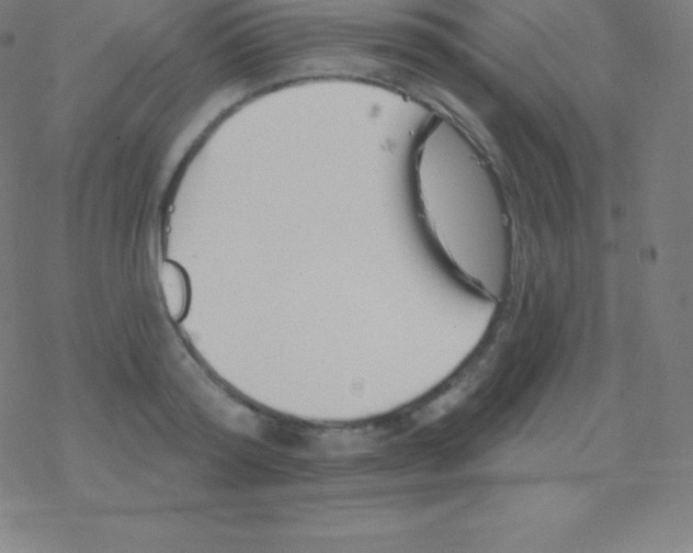 X0000077350796200611101612