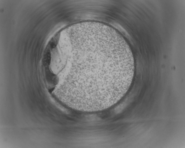 X0000077350798200611101612