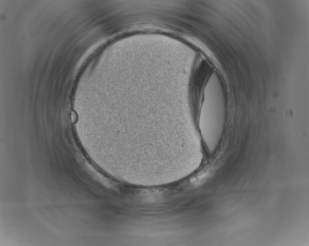 X0000077350799200611101612