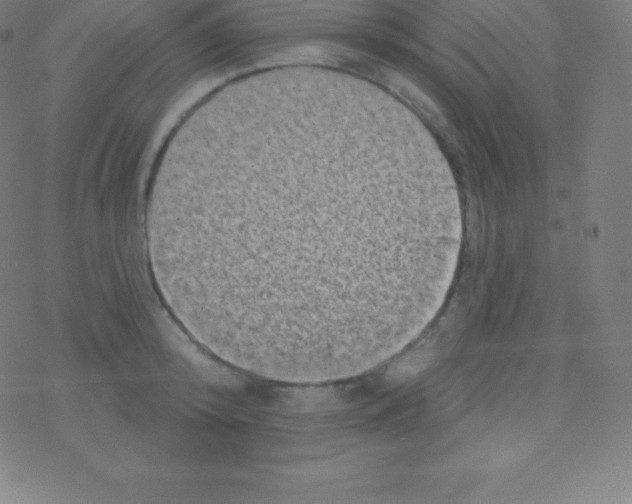 X0000077350800200611101612