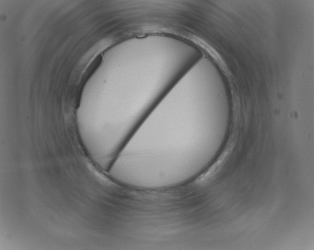 X0000077350801200611101612