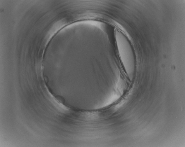 X0000077350802200611101612