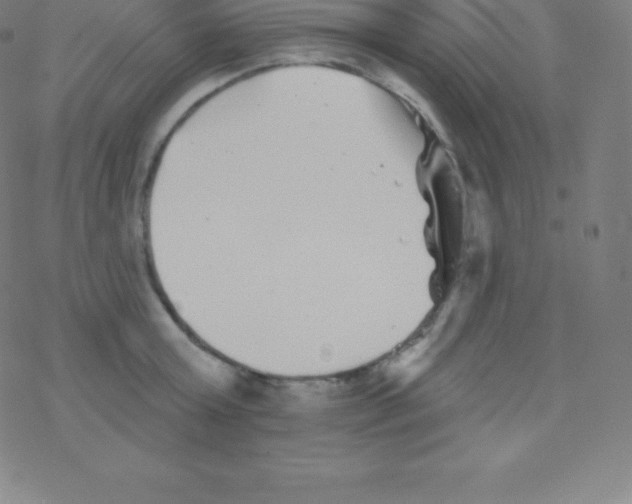 X0000077350803200611101612