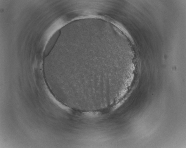 X0000077350805200611101612