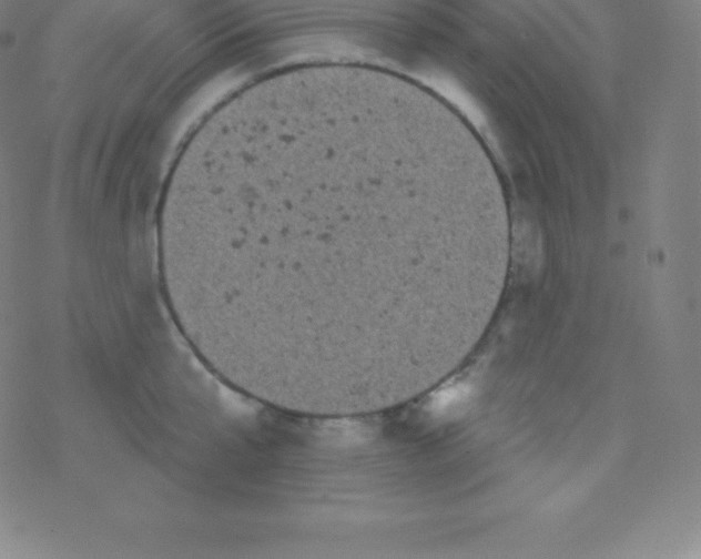 X0000077350807200611101612