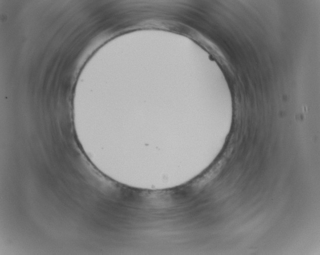 X0000077350808200611101612