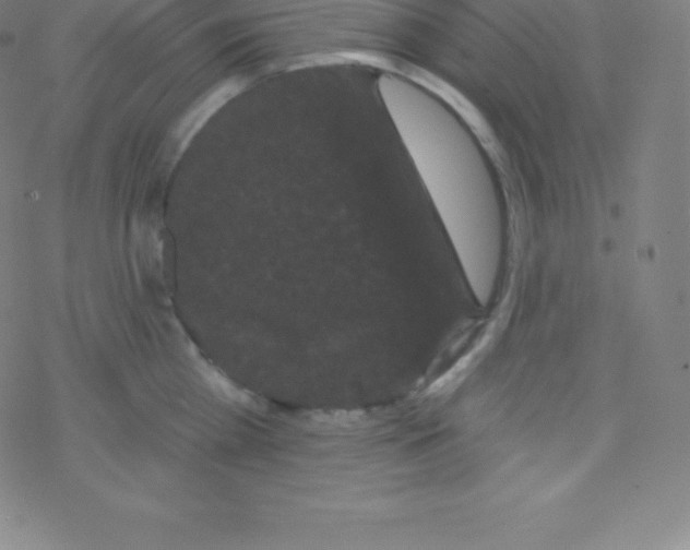 X0000077350809200611101612