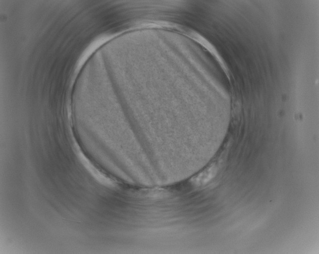 X0000077350811200611101612