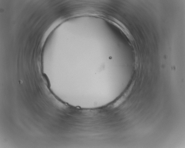 X0000077350812200611101612