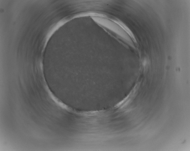 X0000077350813200611101612