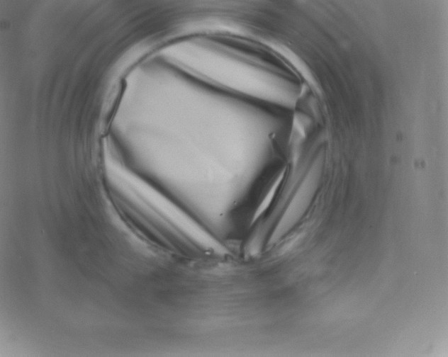 X0000077350815200611101612