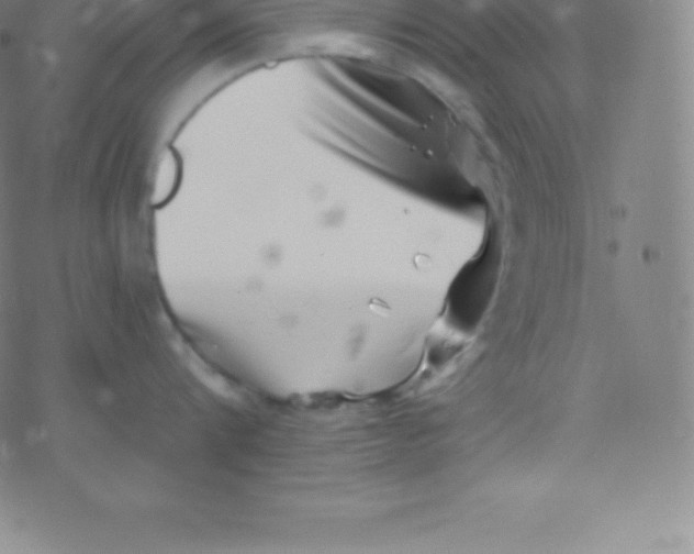 X0000077350816200611101612