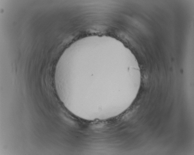 X0000077350817200611101611