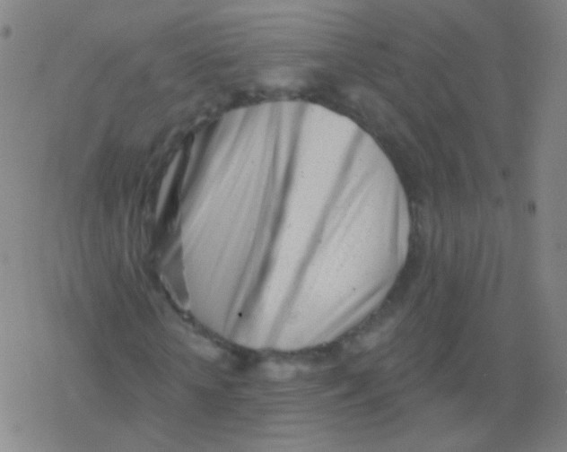 X0000077350818200611101611