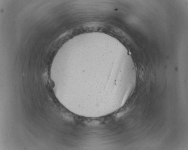 X0000077350821200611101611