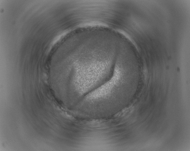 X0000077350823200611101611