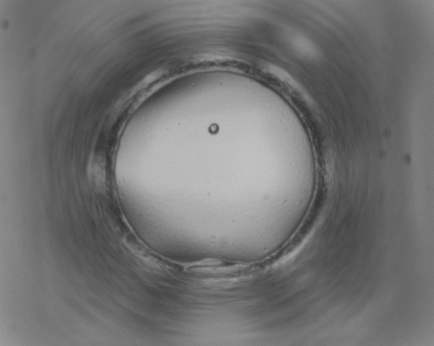 X0000077350825200611101611