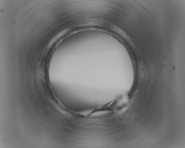 X0000077350826200611101612