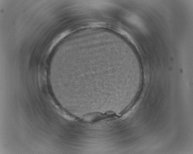 X0000077350827200611101612