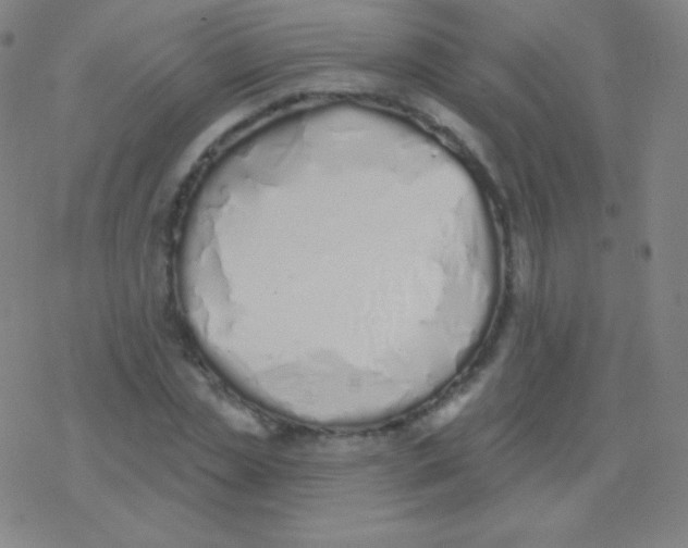 X0000077350829200611101612