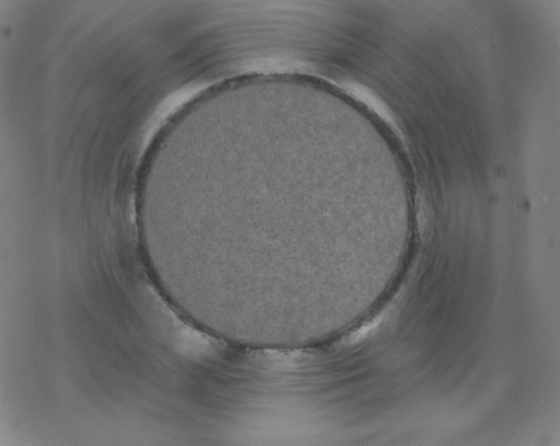 X0000077350831200611101612