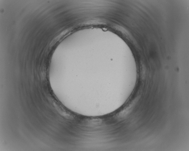 X0000077350833200611101612