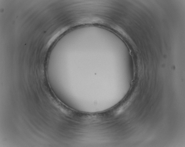 X0000077350834200611101612