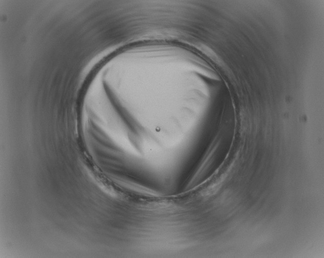 X0000077350838200611101612