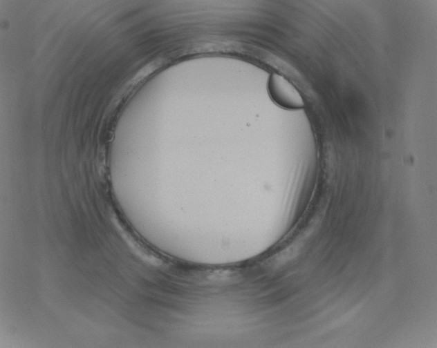 X0000077350841200611101612