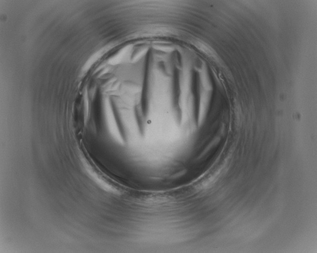 X0000077350842200611101612