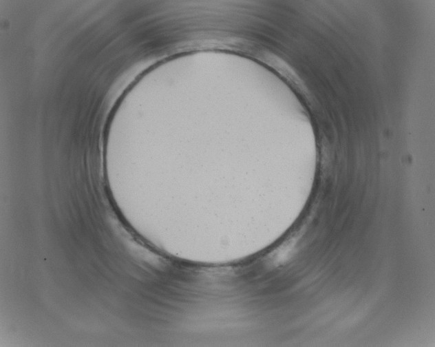 X0000077350844200611101612