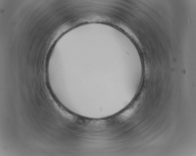 X0000077350845200611101612