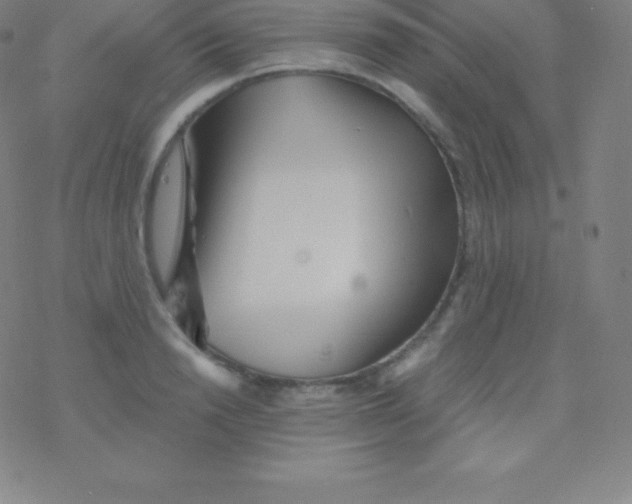 X0000077350846200611101612