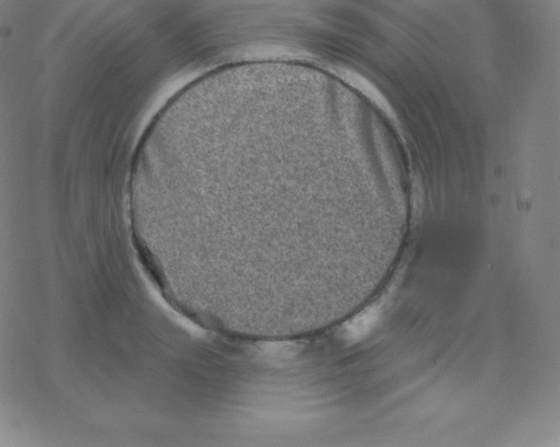 X0000077350847200611101612