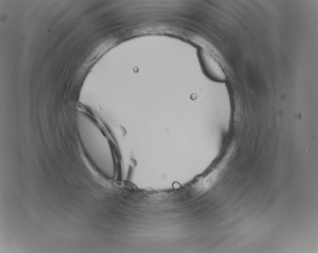 X0000077350849200611101612