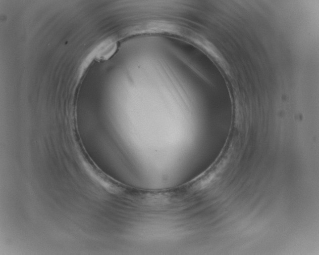 X0000077350850200611101612