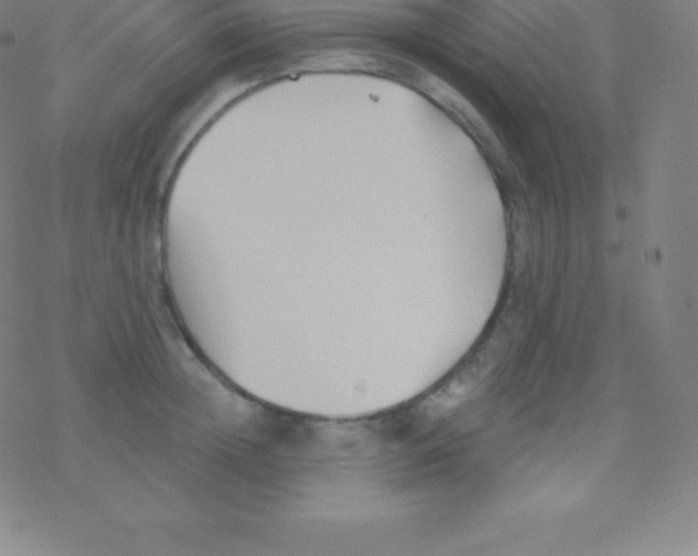 X0000077350852200611101612