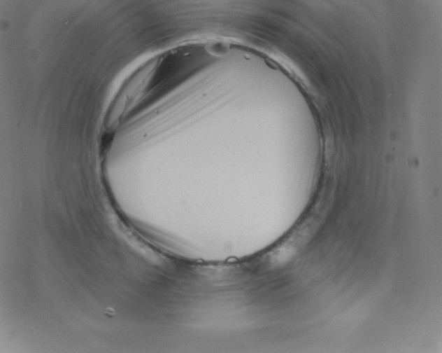 X0000077350854200611101612