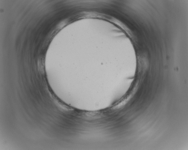 X0000077350857200611101612