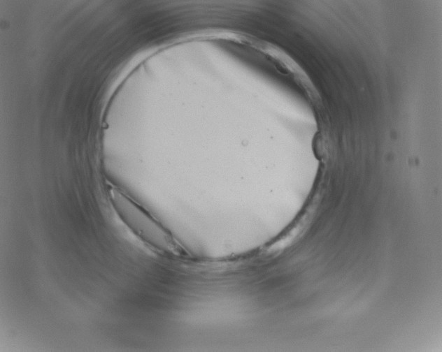 X0000077350860200611101612