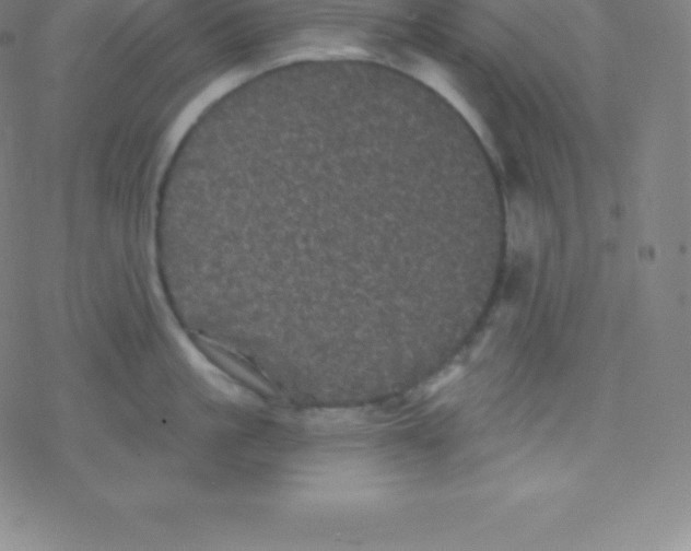 X0000077350861200611101612