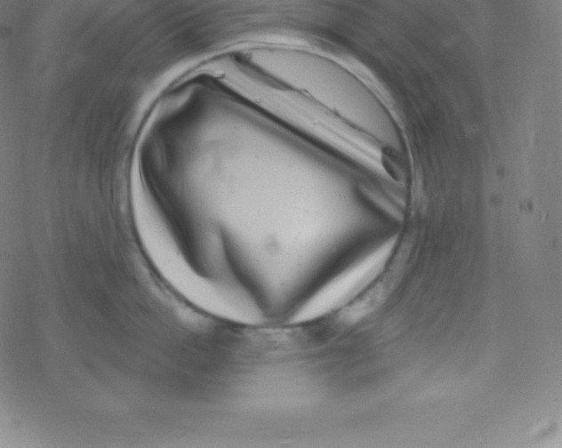 X0000077350862200611101612