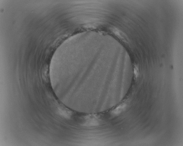 X0000077350867200611101611