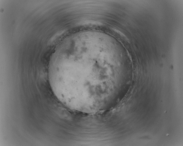 X0000077350869200611101611