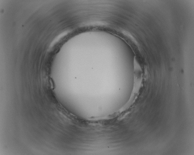 X0000077350872200611101611