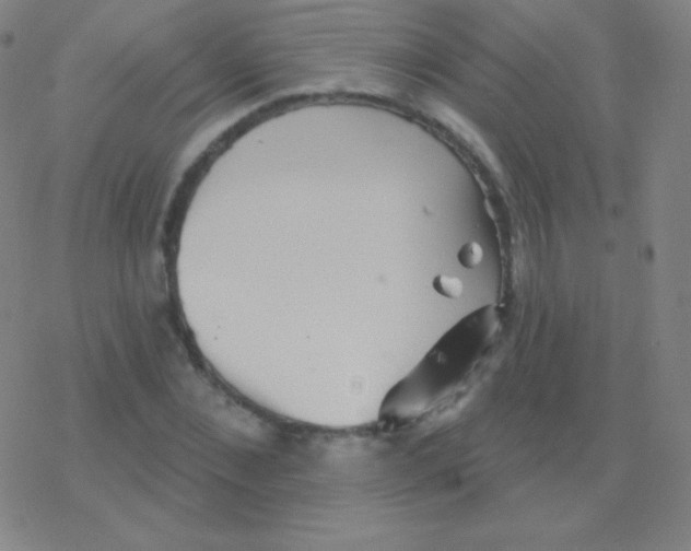 X0000077350876200611101611