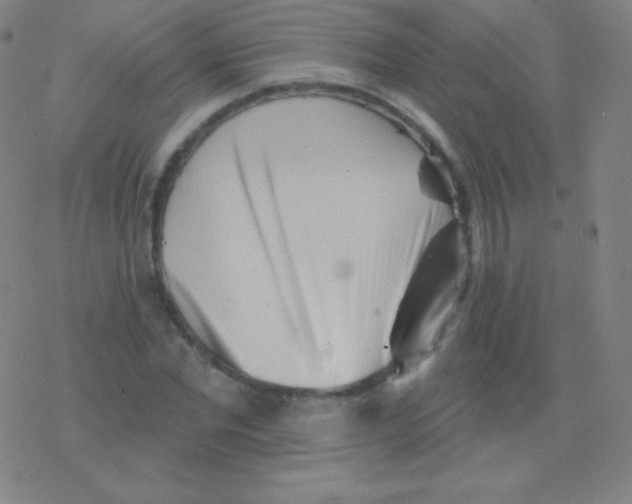 X0000077350877200611101611