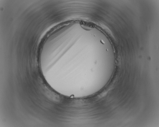 X0000077350880200611101611