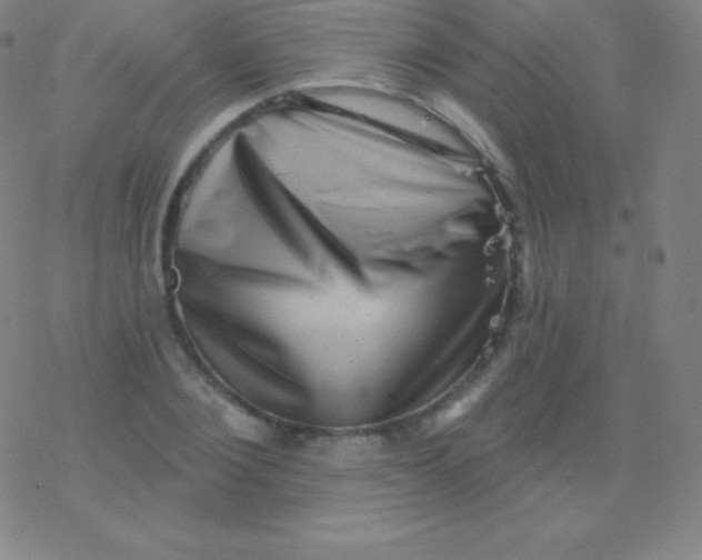 X0000077350884200611101611